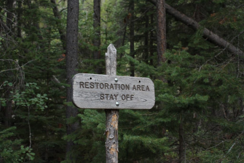 restoration area wooden sign
