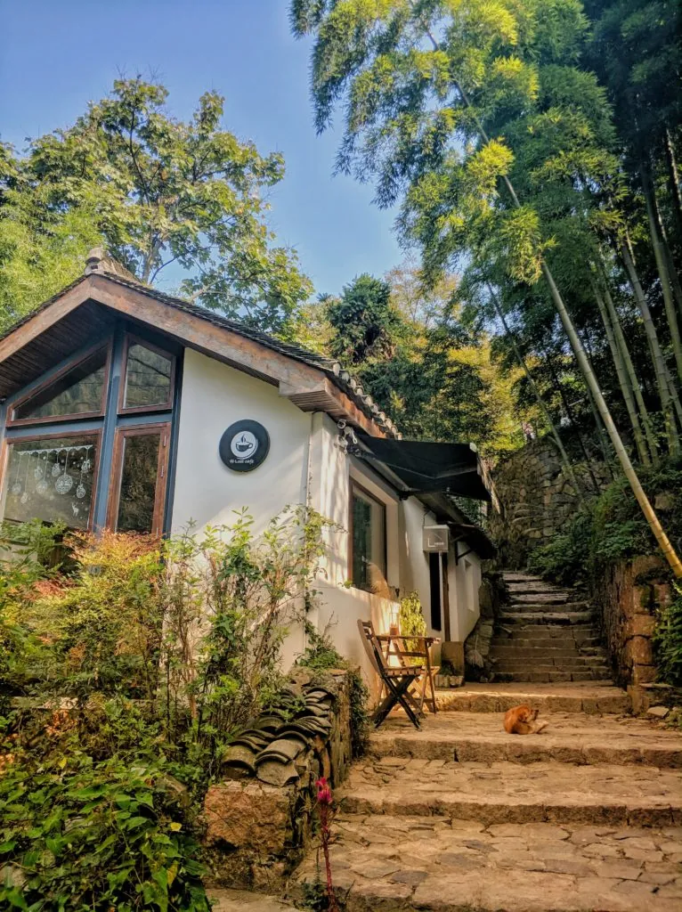 house in the woods