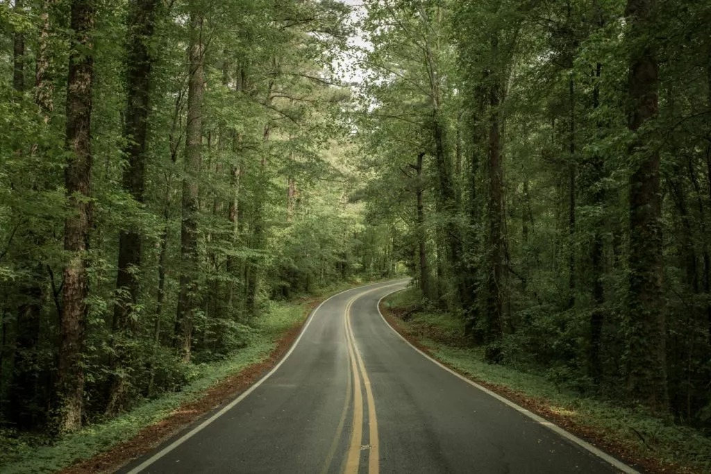 narrow road in Tennessee