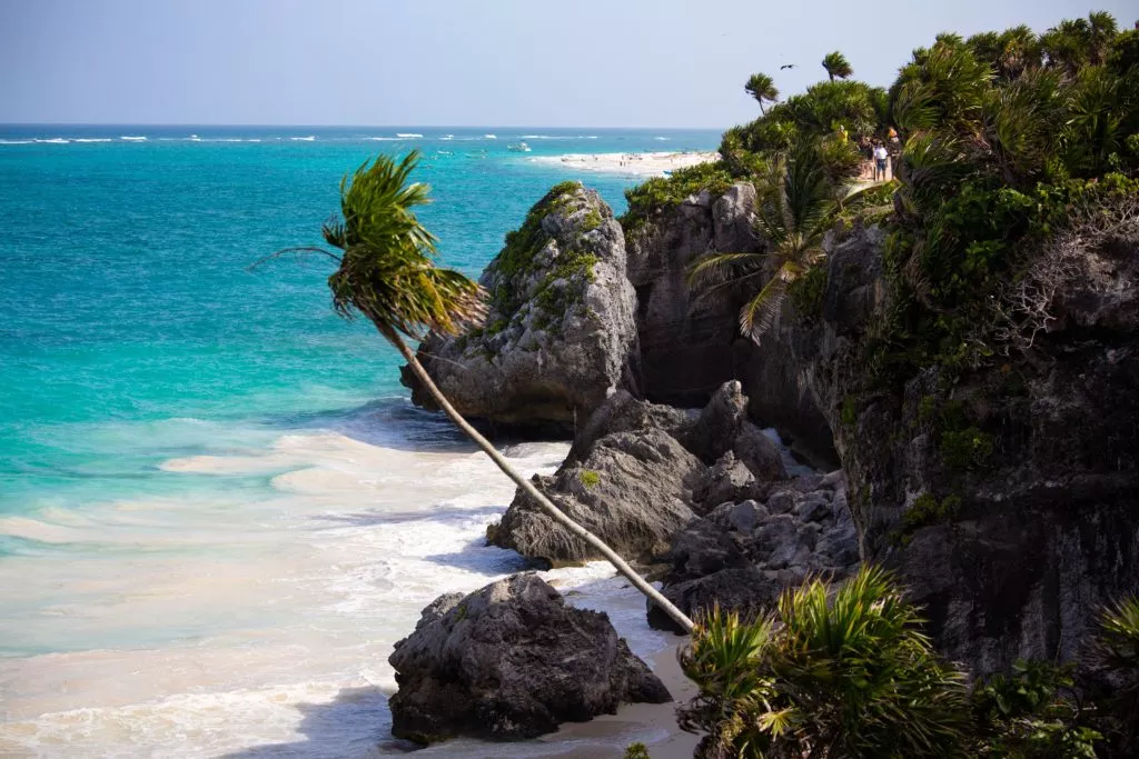 beach with large rocks and palm tree