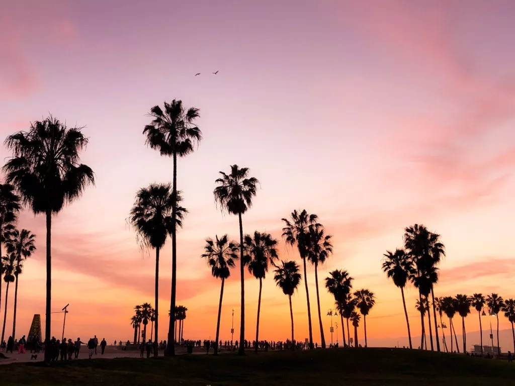 sunset in a boulevard in California