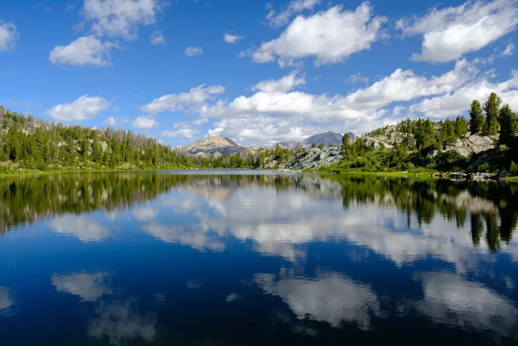 body of water surrounded by trees